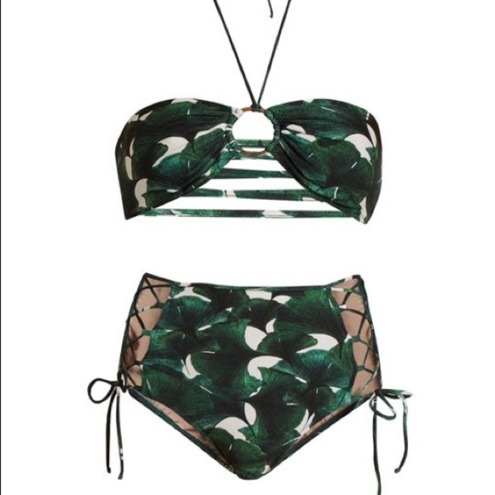 Adriana Degreas Bikini